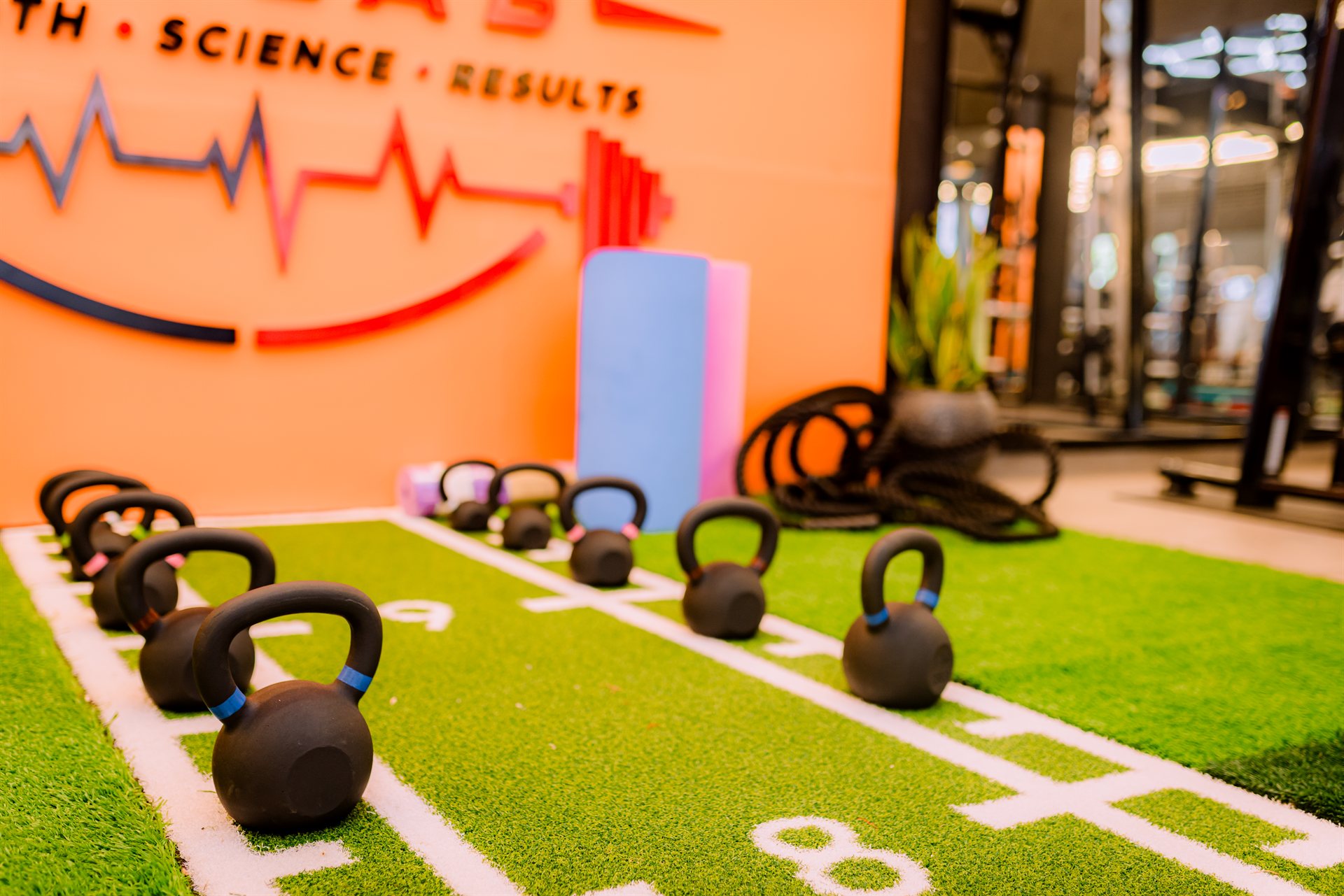 Modern gym equipment at MAX HILL Sports Complex